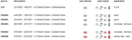 Arbres à cames Catcams pour Audi S3 8P 2,0l TFSI EA113