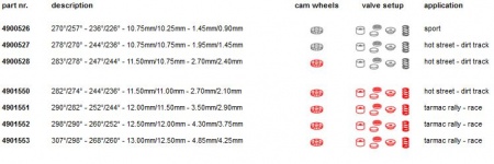 Arbres à cames Catcams pour Peugeot 309 GTI 16s / 405 mi16 (XU9J4)