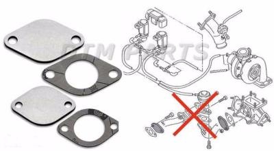 Suppression de vanne EGR pour VW , AUDI 2,5l V6 TDI